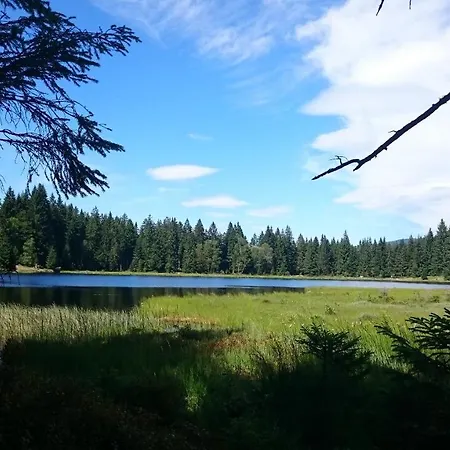 Dachs 公寓 Zachenberg