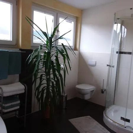 Dachs Apartament *