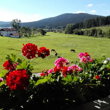 Dachs * Zachenberg